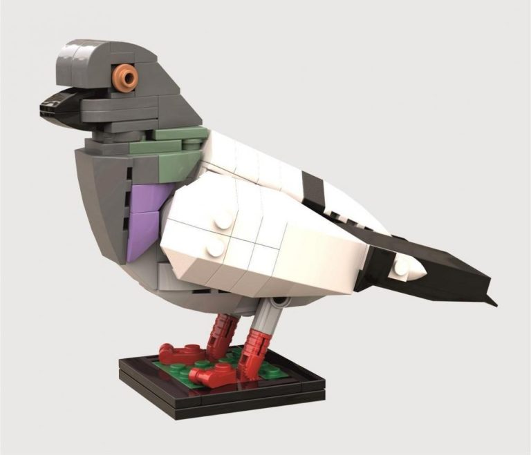 Gołąb skalny model ptaka z klocków kompatybilnych z LEGO